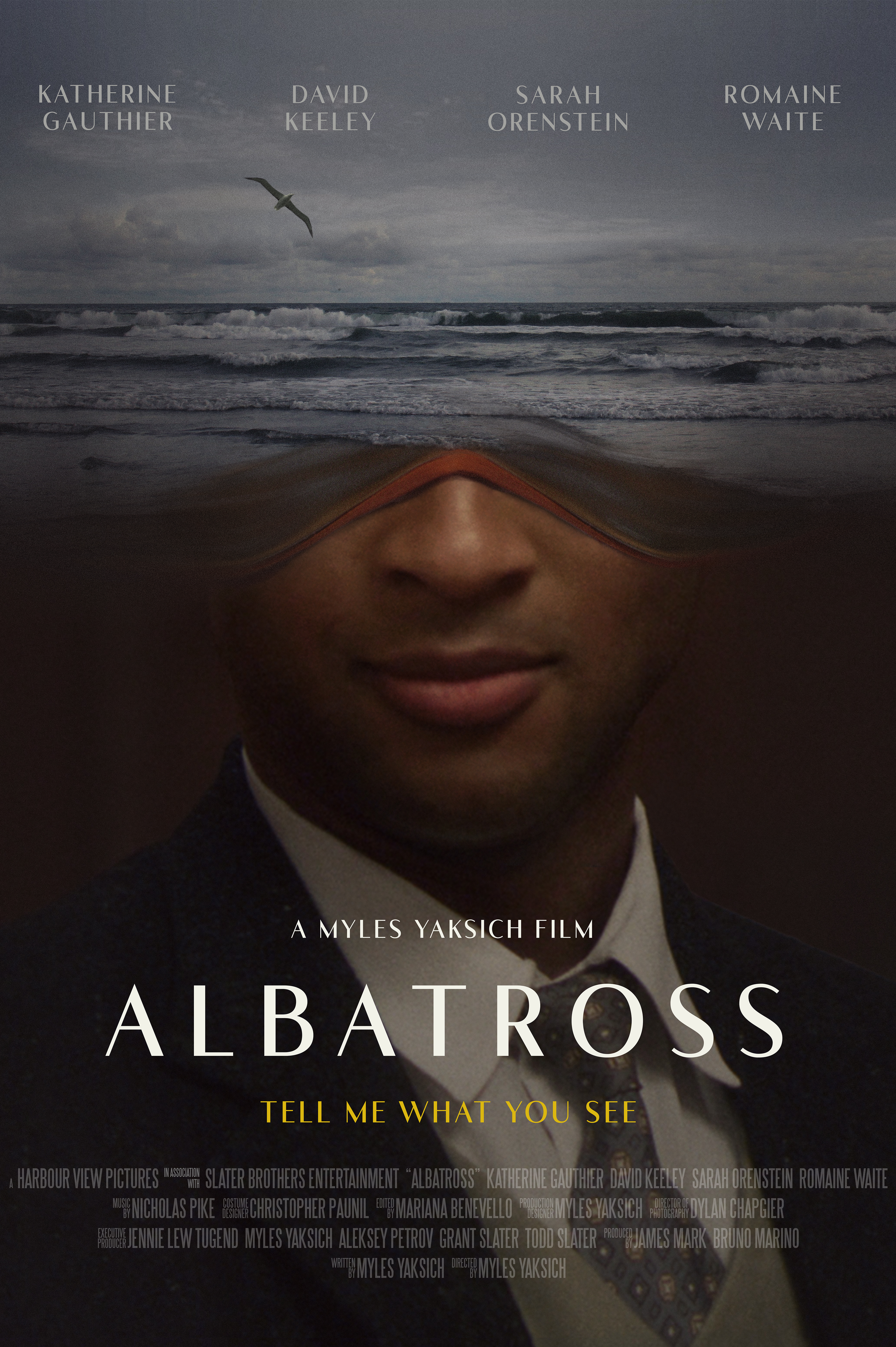 Albatross постер