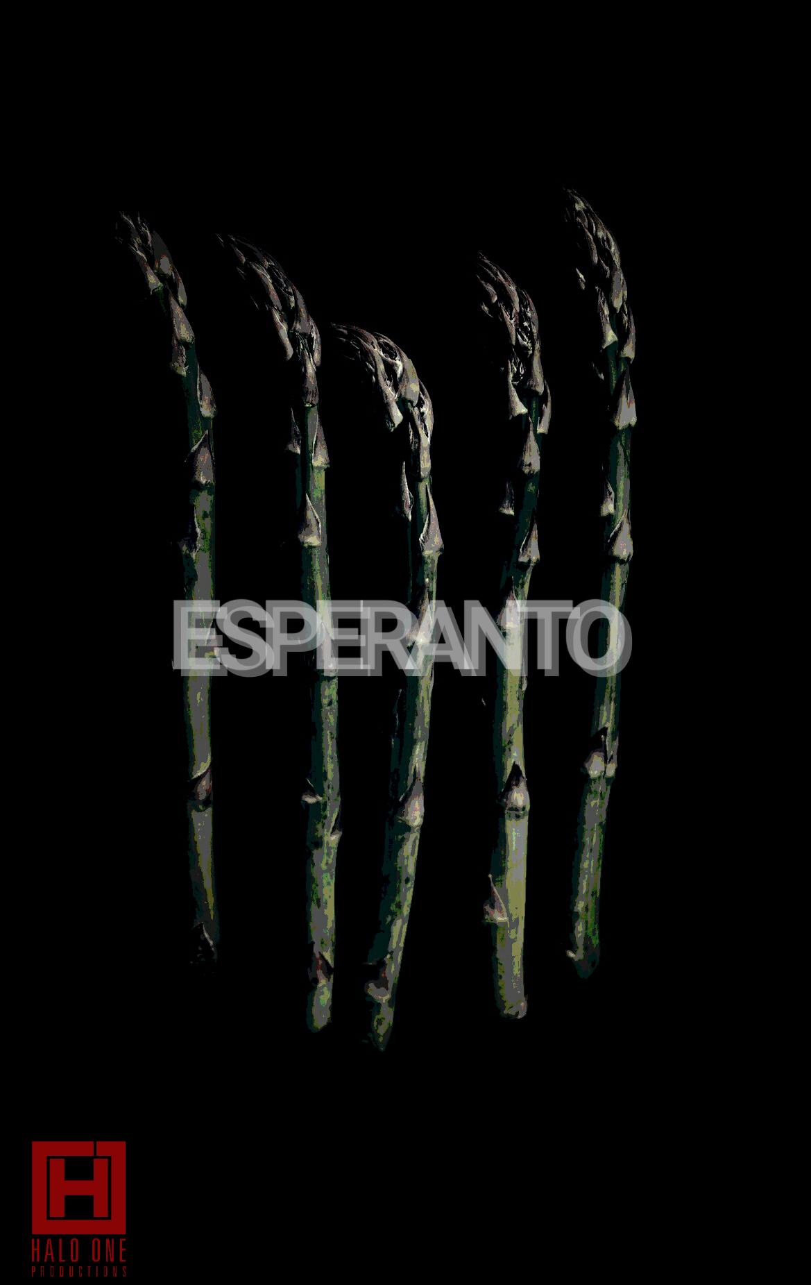 Esperanto (2010) постер